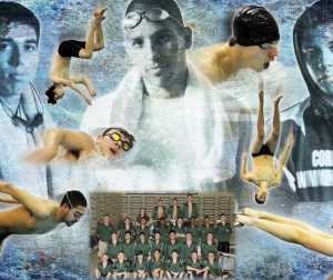 b-swim-poster-2015